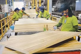 Ouvriers travaillant dans une usine de bois dans la province méridionale de Binh Duong. Photo : VNA