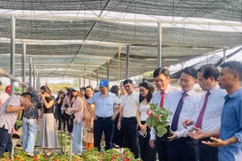 Visiteurs au village horticole de Tich Giang, le 18 octobre. Photo : VNA