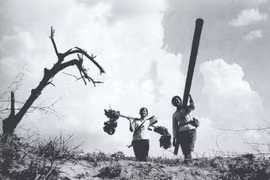 Des femmes soldats transportent des conduites de carburant en janvier 1972