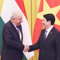 Le président Luong Cuong (droite) et le président hongrois Sulyok Tamás. Photo. VNA