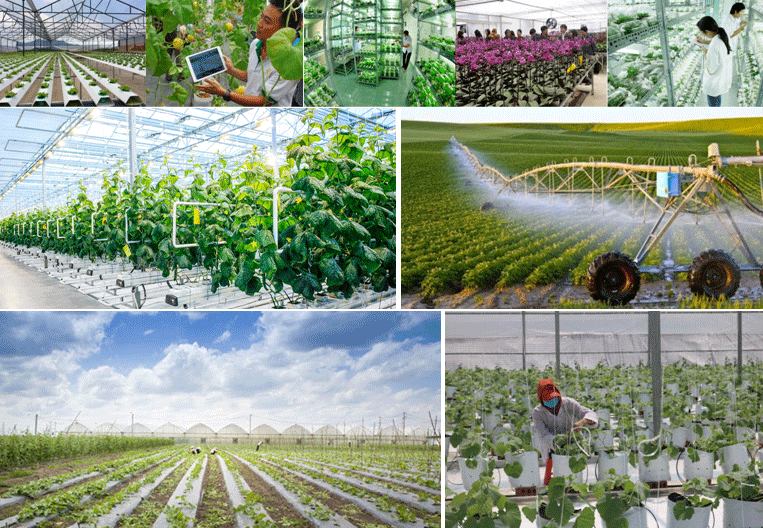 Le Vietnam cible 500 fabricants de produits hautes technologies d'ici 2030 ảnh 1 Le Vietnam cible 500 fabricants de produits hautes technologies d'ici 2030 ảnh 1