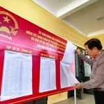 Les électeurs se renseignent soigneusement sur les candidats avant de voter. Photo : Vietnam+