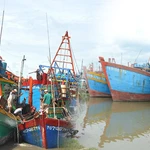 Dong Thap renforce la gestion de sa flotte de pêche pour lutter contre la pêche INN. Photo: Congly.vn