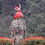 Ninh Binh séduit les visiteurs avec ses saisons florales patrimoniales