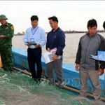 La province de Ninh Binh (Nord) a mis en œuvre de nombreuses mesures concertées afin de contribuer à la levée rapide du « carton jaune » imposée par la Commission européenne (CE) en 2025, et de favoriser une pêche durable et responsable. Photo: VNA