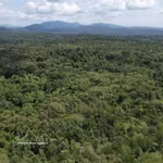 La Réserve naturelle d’Ea So, dans la province de Dak Lak (Centre). Photo: VNA