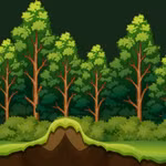 En 2025, le Vietnam comptait plus de 14,97 millions d'hectares de forêts