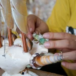 Vung Tau : Préserver l’héritage maritime à travers l’artisanat de coquillages