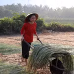 Tay Ninh : Préserver le rythme de l'artisanat traditionnel de l'estuaire de Nhut Tao