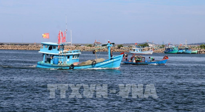 Photo : VNA