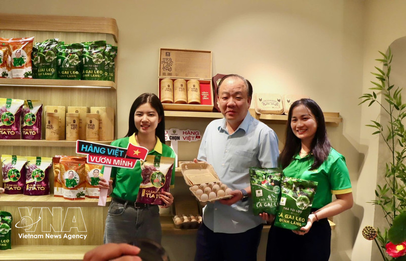 « Vitalité des produits vietnamiens » met en lumière une sélection rigoureuse de denrées emblématiques, issues de filières de production transparentes, telles que les nids de salangane de Khanh Hoa, les noix de macadamia Truong Giang de Lai Chau, ou encore les produits à base de Solanum procumbens de la marque Sadu. Photo : VNA