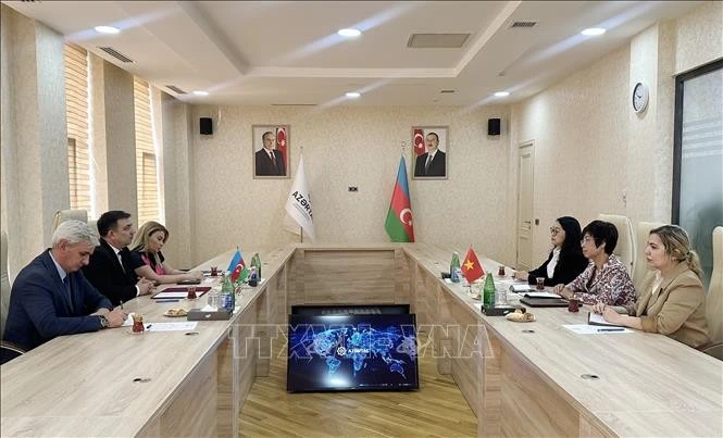 Lors de l'entretien entre la directrice générale de la VNA Vu Viet Trang et le président de l'Agence de presse d'État d'Azerbaïdjan (AZERTAC), Vugar Alyev. Photo : VNA