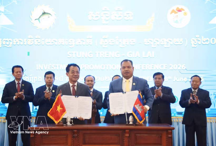 Des représentants de la province de Stoeng Treng et de la société par actions Phu Tai (province de Gia Lai) ont signé un protocole d'accord portant sur l'étude des investissements dans la plantation de grandes forêts d'arbres. Photo : VNA