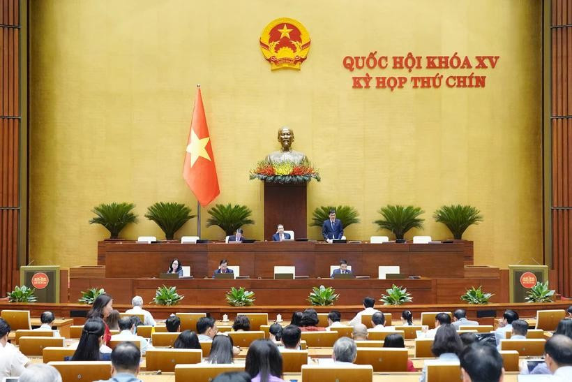 Lors de la session. Photo : VNA