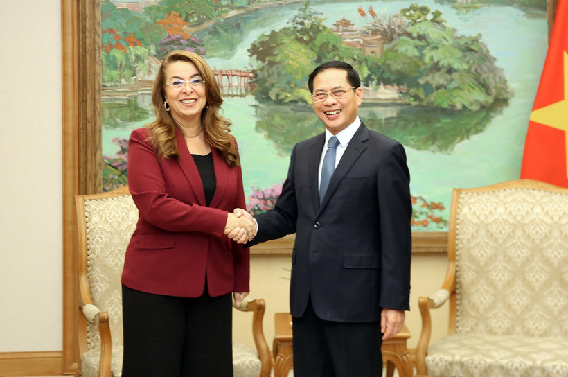 Le vice-Premier ministre vietnamien Bùi Thanh Son reçoit Ghada Waly, secrétaire générale adjointe des Nations Unies, directrice exécutive de l'Office des Nations Unies contre la drogue et le crime (ONUDC) et directrice de l'Office des Nations Unies à Vienne. Photo : VGP