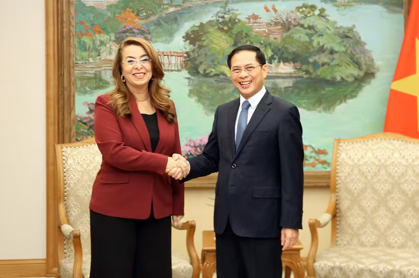 Le vice-Premier ministre vietnamien Bùi Thanh Son reçoit Ghada Waly, secrétaire générale adjointe des Nations Unies, directrice exécutive de l'Office des Nations Unies contre la drogue et le crime (ONUDC) et directrice de l'Office des Nations Unies à Vienne. Photo : VGP