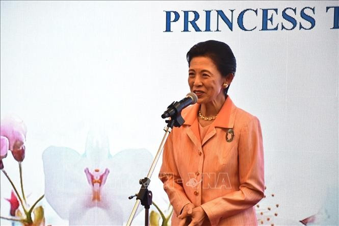 La princesse Takamado à l'événement. Photo : VNA