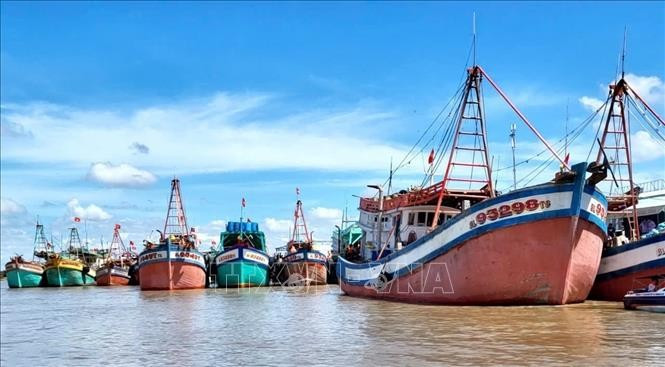 Bateaux de pêche ancrés au port de Ganh Hao (province de Ca Mau). Photo : VNA