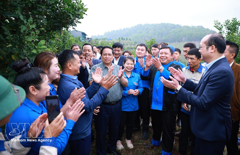 Le Premier ministre Pham Minh Chinh visite un modèle de culture de macadamia au village de Huoi Tao B, commune de Pu Nhi.Photo : VNA