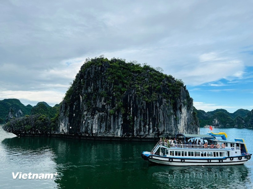 Photo : VietnamPlus