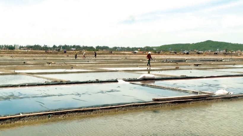 Marais salants de Sa Huynh à Quang Ngai (Centre). Photo : VNA/CVN