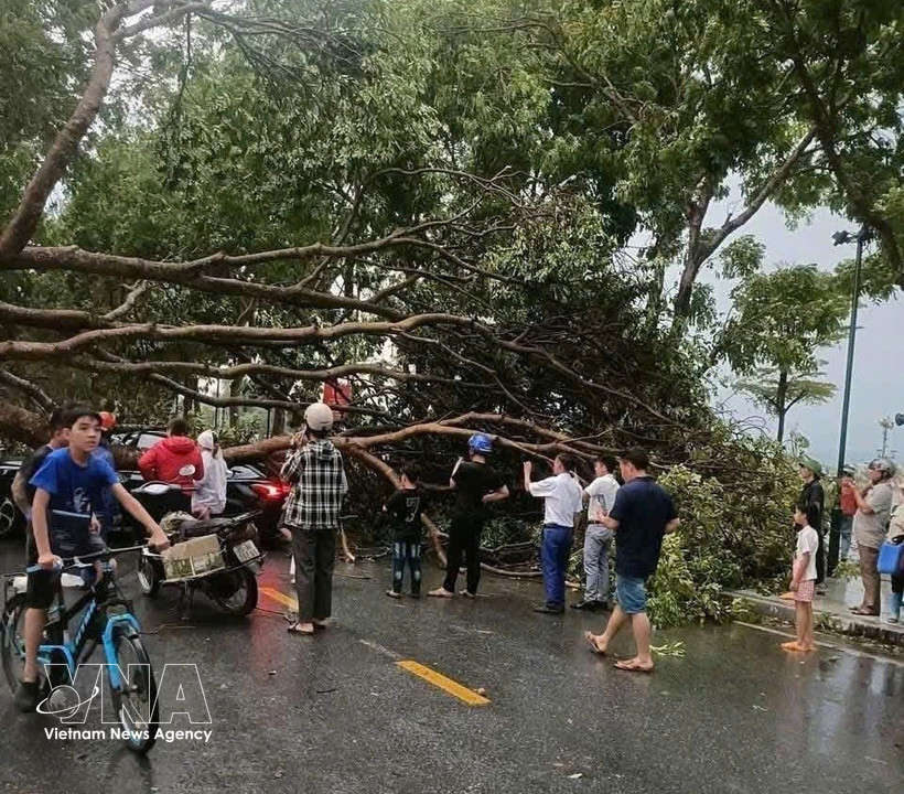 Dans l'après-midi du 29 mars 2026, plusieurs localités de la province de Lao Cai ont été frappées par une violente tempête. De nombreux arbres sont tombés et des centaines de maisons ont vu leurs toits arrachés. Photo : VNA