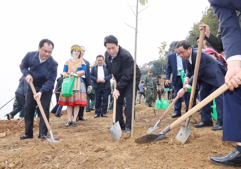 Le président Luong Cuong participe à la plantation d’arbres avec les délégués et la population locale dans le cadre du projet du parc culturel de Lao Cai, dans le quartier de Cam Duong. Photo : VNA