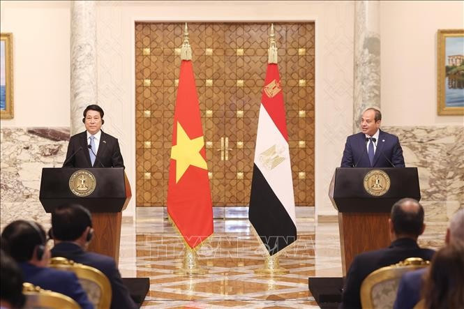 Le président vietnamien Luong Cuong (à gauche) et son homologue égyptien Abdel Fattah El-Sisi lors de la conférence de presse tenue après leur entretien. Photo : VNA 