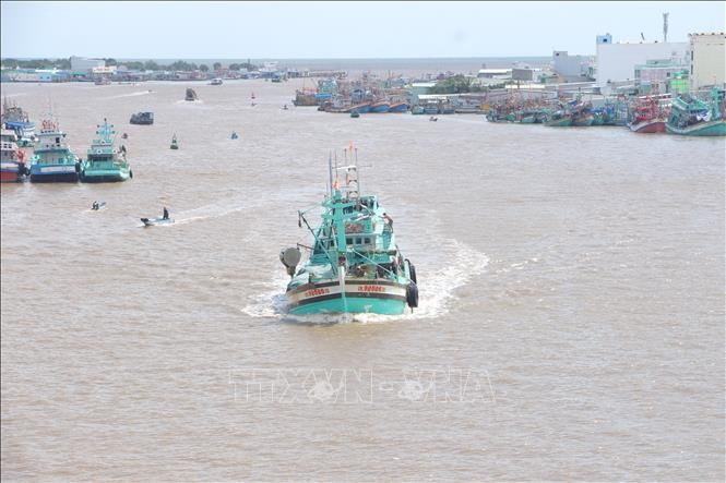 Bateaux de pêche à l'estuaire du fleuve Doc, province de Ca Mau. Photo : VNA