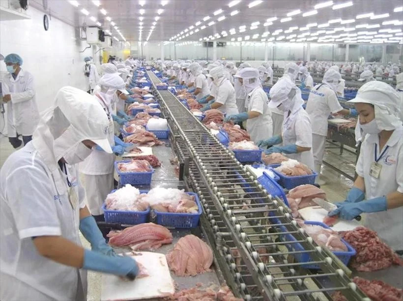 Le traitement des produits aquatiques pour l'exportation. Photo : VNA