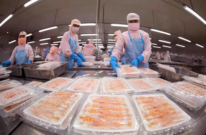 Transformation de crevettes pour l'exportation. Photo : VNA