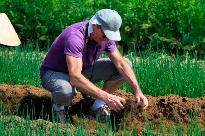 Les touristes internationaux se joignent à découvrir la sensation d'être un agriculteur dans le village maraîcher de Tra Que. (Photo : Mai Mai/Vietnam+)