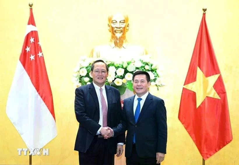 Le ministre vietnamien de l'Industrie et du Commerce, Nguyen Hong Dien s'entretient avec le ministre singapourien de l'Industrie et du Commerce, Tan See Leng, sur l'élargissement de la coopération économique, commerciale et énergétique en mars 2024. (Photo : Tran Viet/VNA)