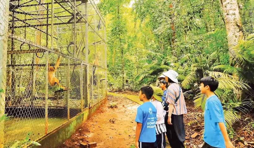 De jeunes bénévoles participent aux soins des animaux secourus au Parc national de Bù Gia Mâp. Photo : Nhân Dân (Le Peuple)