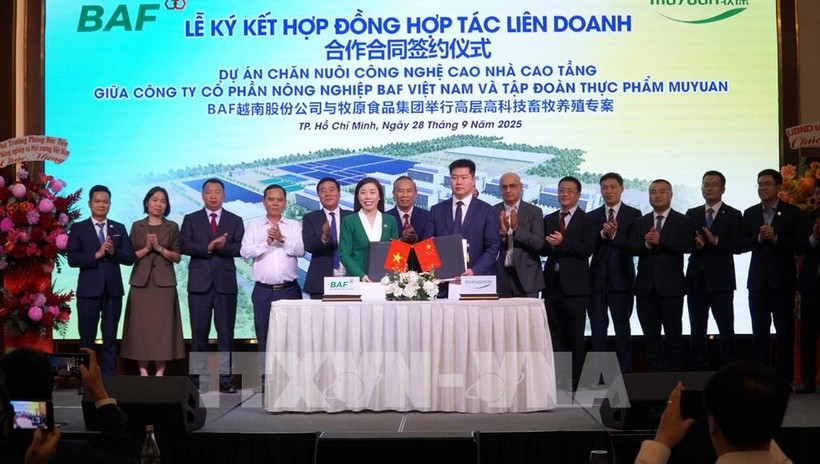 Lors de la cérémonie de signature entre la société par actions d’agriculture BAF du Vietnam et le groupe alimentaire Muyuan de Chine, le 28 septembre à Hô Chi Minh-Ville. Photo : VNA