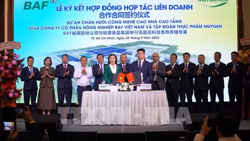 Lors de la cérémonie de signature entre la société par actions d’agriculture BAF du Vietnam et le groupe alimentaire Muyuan de Chine, le 28 septembre à Hô Chi Minh-Ville. Photo : VNA