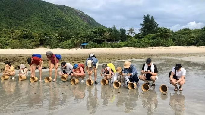 Des touristes étrangers participent avec enthousiasme à une excursion de remise à la mer de bébés tortues à Côn Dao, à Hô Chi Minh-Ville. Photo : sggp.org.jpg