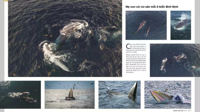 Photo : Département des Beaux-Arts, de la Photographie et des Expositions