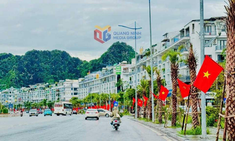 Une section de la rue Tran Quoc Nghien traverse le quartier de Ha Long. Photo : https://dangcongsan.org.vn/
