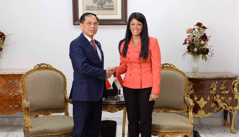 Le vice-Premier ministre et ministre des Affaires étrangères du Vietnam, Bui Thanh Son rencontre le 5 août Rania A. Al-Mashat, ministre égyptienne de la Planification, du Développement économique et de la Coopération internationale, également présidente de la partie égyptienne du Comité mixte Vietnam–Égypte. Photo : VNA