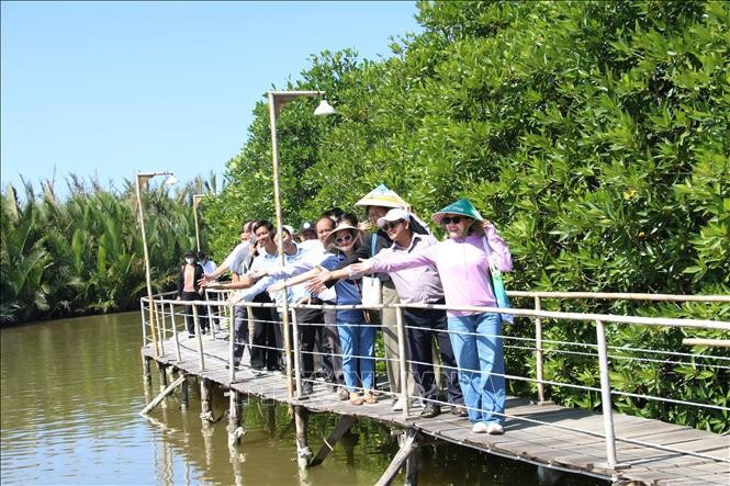 Des touristes visitent et découvrent les forêts de mangroves des communes côtières de l'île d'An Hoa, dans la province de Vinh Long. Photo : VNA