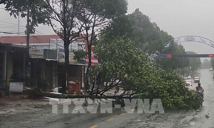 En raison du typhon, de nombreux arbres ont été cassés dans le quartier de Buon Ma Thuot, province de Dak Lak. Photo : VNA