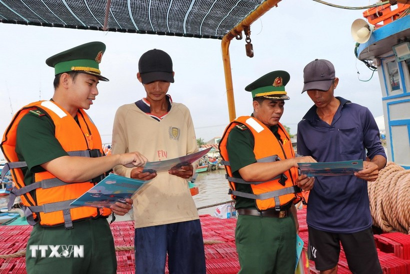 La province privilégie une communication directe via SMS et des groupes de travail dépêchés auprès des armateurs et capitaines pour rappeler les dispositions de la Loi sur la pêche. Photo : VNA