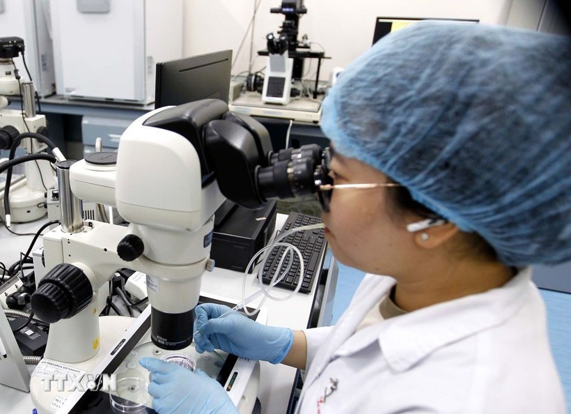 Le gouvernement a promulgué, le 19 septembre 2025, le décret n°249/2025/ND-CP relatif aux mécanismes et politiques visant à attirer des experts dans les domaines de la science, de la technologie, de l’innovation et de la transformation numérique. Photo : VNA