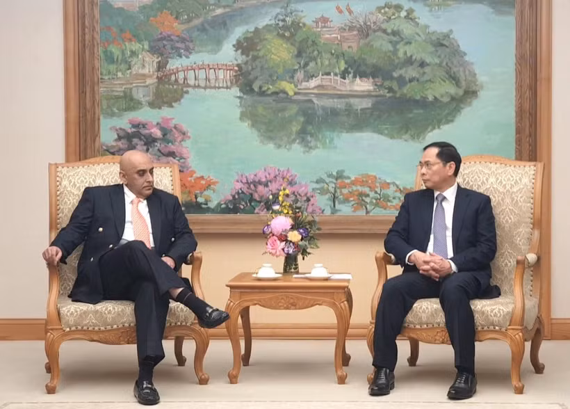 Le vice-Premier ministre et ministre des Affaires étrangères, Bui Thanh Son (droite), et le président du groupe Makara Capital, Ali Ijaz Ahmad, Photo : VNA