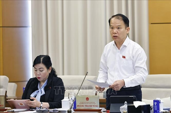 Le président de la Commission du droit et de la justice, Hoang Thanh Tung prend la parole lors de la séance. Photo : VNA