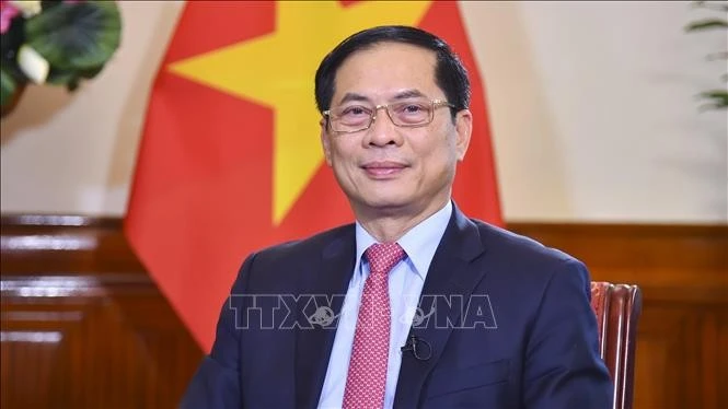 Le vice-Premier ministre et ministre des Affaires étrangères Bui Thanh Son. Photo : VNA