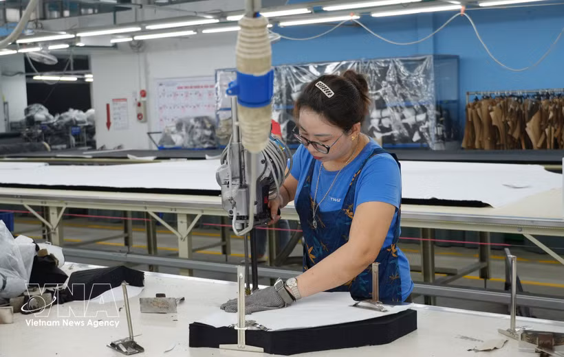 A la société par actions d'investissement et de commerce TNG, au parc industriel Song Cong 1, province de Thai Nguyen. Photo : VNA