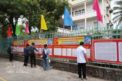 Des étudiants de l'Université de Da Nang lisent des informations des candidats. Photo: VNA