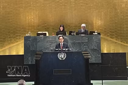 L’ambassadeur Do Hung Viet, chef de la Mission permanente du Vietnam auprès des Nations unies. Photo: VNA